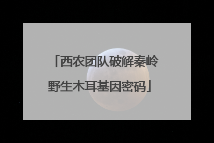 西农团队破解秦岭野生木耳基因密码