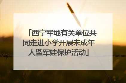 西宁军地有关单位共同走进小学开展未成年人暨军娃保护活动