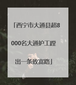 西宁市大通县超8000名大通护工蹚出一条致富路