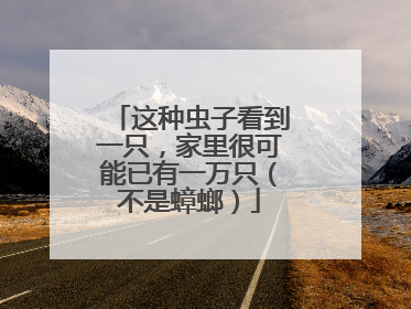 这种虫子看到一只，家里很可能已有一万只（不是蟑螂）