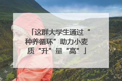 这群大学生通过“种养循环”助力小麦质“升”量“高”