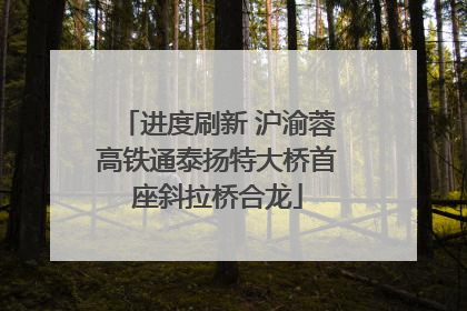 进度刷新 沪渝蓉高铁通泰扬特大桥首座斜拉桥合龙