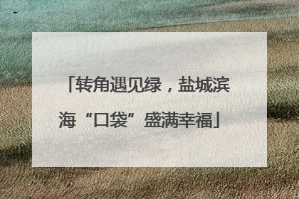 转角遇见绿，盐城滨海“口袋”盛满幸福