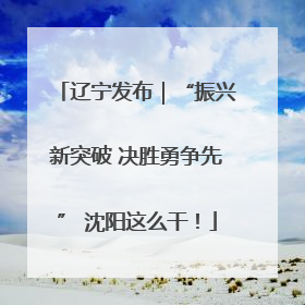 辽宁发布｜“振兴新突破 决胜勇争先” 沈阳这么干！