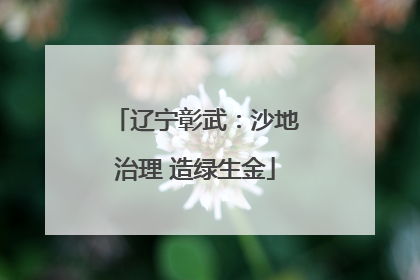 辽宁彰武：沙地治理 造绿生金