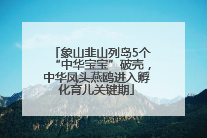 象山韭山列岛5个“中华宝宝”破壳，中华凤头燕鸥进入孵化育儿关键期