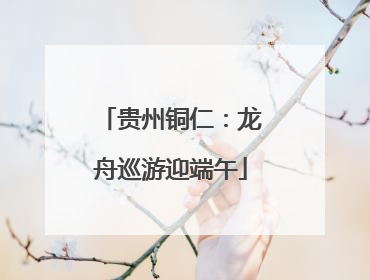 贵州铜仁：龙舟巡游迎端午