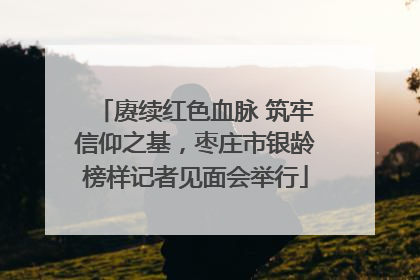 赓续红色血脉 筑牢信仰之基，枣庄市银龄榜样记者见面会举行