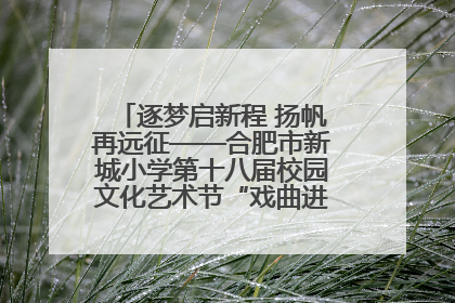 逐梦启新程 扬帆再远征——合肥市新城小学第十八届校园文化艺术节“戏曲进校园专场演出”