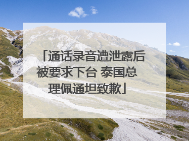 通话录音遭泄露后被要求下台 泰国总理佩通坦致歉