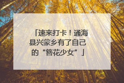 速来打卡！通海县兴蒙乡有了自己的“簪花少女”