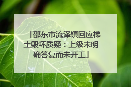 邵东市流泽镇回应梯土毁坏质疑：上级未明确答复而未开工