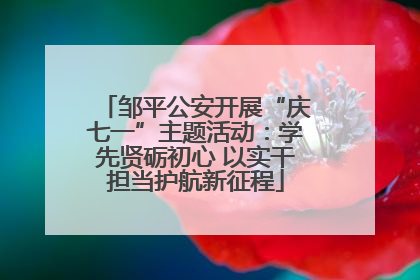 邹平公安开展“庆七一”主题活动：学先贤砺初心 以实干担当护航新征程