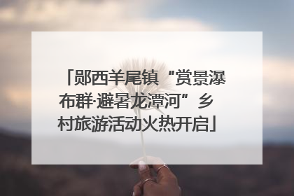 郧西羊尾镇“赏景瀑布群·避暑龙潭河”乡村旅游活动火热开启