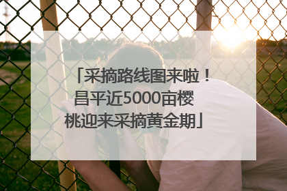 采摘路线图来啦！昌平近5000亩樱桃迎来采摘黄金期