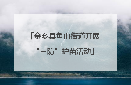 金乡县鱼山街道开展“三防”护苗活动
