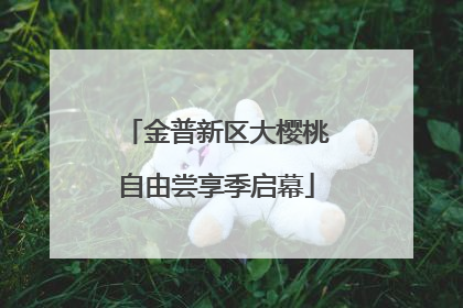 金普新区大樱桃自由尝享季启幕