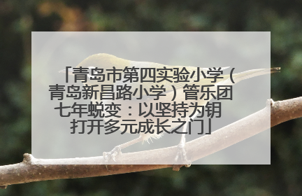 青岛市第四实验小学（青岛新昌路小学）管乐团七年蜕变：以坚持为钥 打开多元成长之门