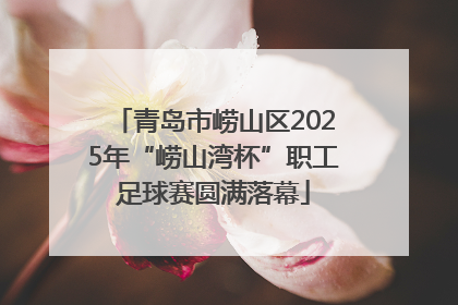 青岛市崂山区2025年“崂山湾杯”职工足球赛圆满落幕