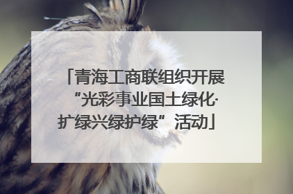 青海工商联组织开展“光彩事业国土绿化·扩绿兴绿护绿”活动