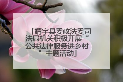 靖宇县委政法委司法局机关积极开展“公共法律服务进乡村”主题活动