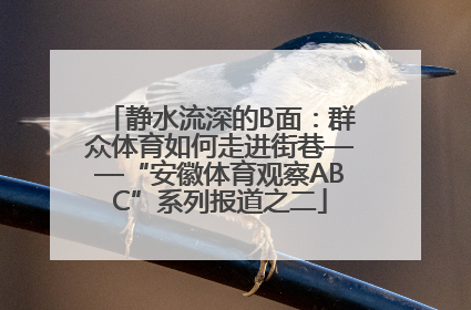 静水流深的B面：群众体育如何走进街巷——“安徽体育观察ABC”系列报道之二
