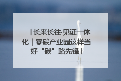 长来长往·见证一体化｜零碳产业园这样当好“碳”路先锋