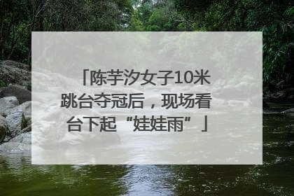陈芋汐女子10米跳台夺冠后，现场看台下起“娃娃雨”
