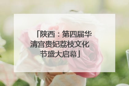 陕西：第四届华清宫贵妃荔枝文化节盛大启幕