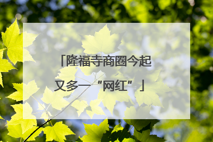 隆福寺商圈今起又多一“网红”
