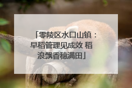 零陵区水口山镇：早稻管理见成效 稻浪飘香穗满田
