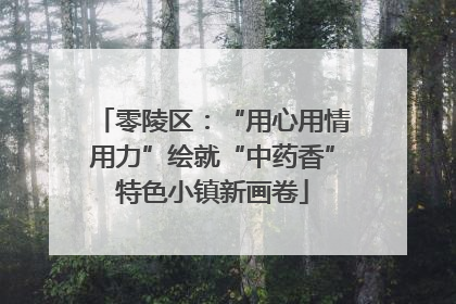 零陵区：“用心用情用力”绘就“中药香”特色小镇新画卷
