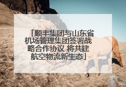 顺丰集团与山东省机场管理集团签署战略合作协议 将共建航空物流新生态
