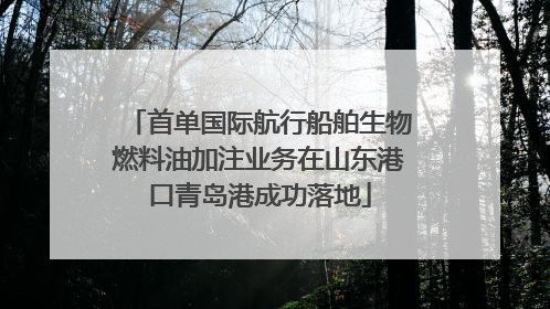首单国际航行船舶生物燃料油加注业务在山东港口青岛港成功落地