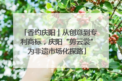 香约庆阳｜从创意到专利商标，庆阳“剪云裳”为非遗市场化探路