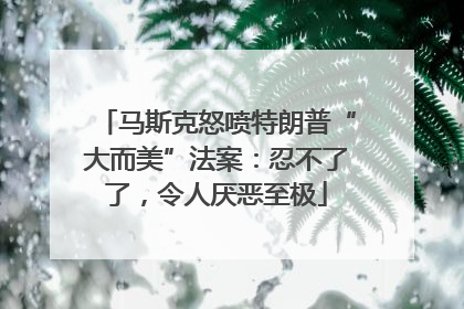 马斯克怒喷特朗普“大而美”法案：忍不了了，令人厌恶至极