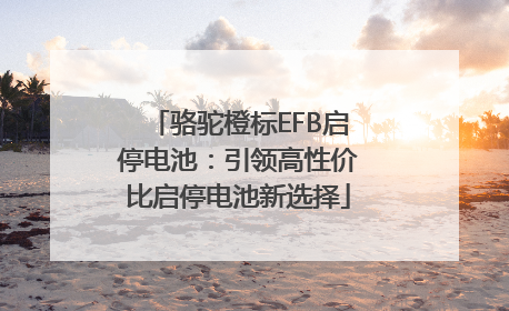 骆驼橙标EFB启停电池：引领高性价比启停电池新选择