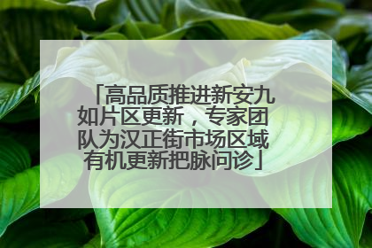高品质推进新安九如片区更新，专家团队为汉正街市场区域有机更新把脉问诊