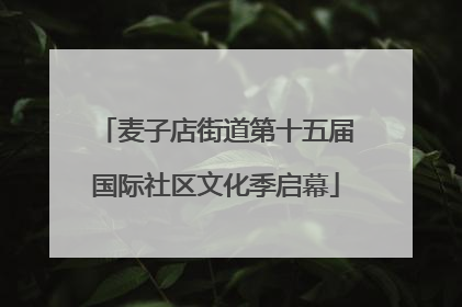 麦子店街道第十五届国际社区文化季启幕