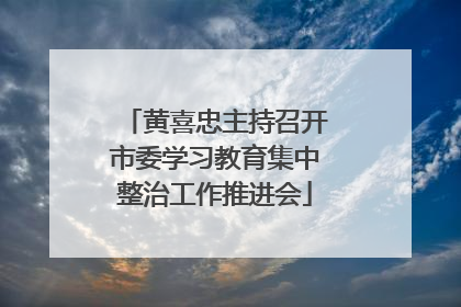 黄喜忠主持召开市委学习教育集中整治工作推进会