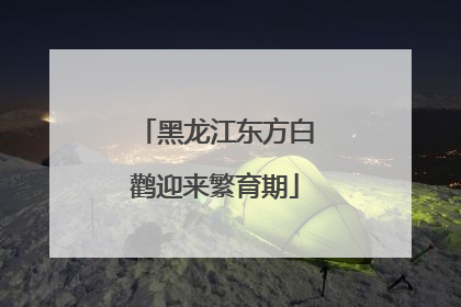 黑龙江东方白鹳迎来繁育期