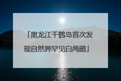 黑龙江千鹤岛首次发现自然界罕见白鸬鹚