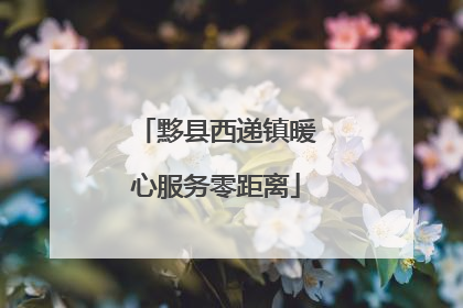 黟县西递镇暖心服务零距离