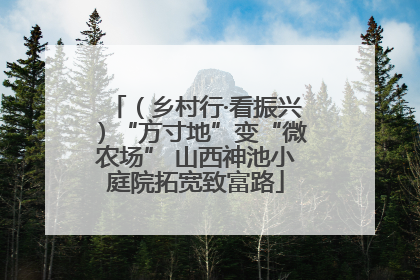 （乡村行·看振兴）“方寸地”变“微农场” 山西神池小庭院拓宽致富路