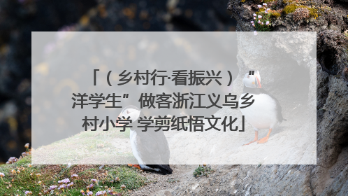 （乡村行·看振兴）“洋学生”做客浙江义乌乡村小学 学剪纸悟文化
