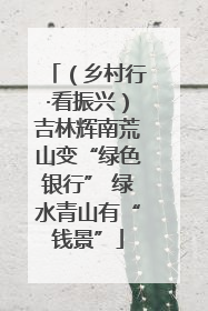 （乡村行·看振兴）吉林辉南荒山变“绿色银行” 绿水青山有“钱景”