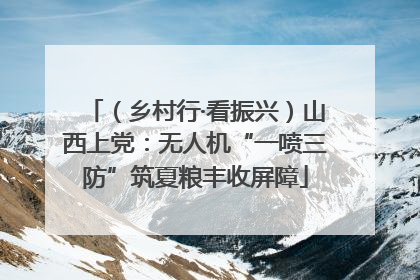 （乡村行·看振兴）山西上党：无人机“一喷三防”筑夏粮丰收屏障