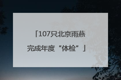 107只北京雨燕完成年度“体检”