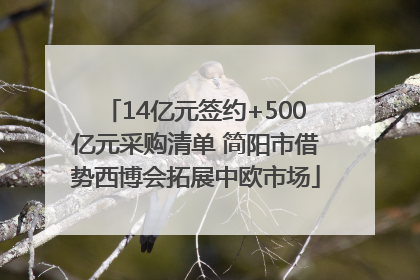 14亿元签约+500亿元采购清单 简阳市借势西博会拓展中欧市场