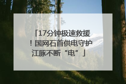 17分钟极速救援！国网石首供电守护江豚不断“电”